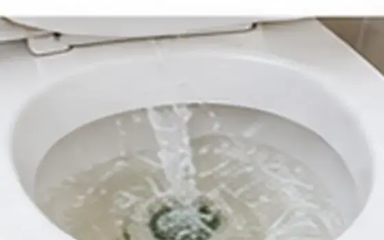 Emergency Toilet Overflow Response: Questions to ask before booking — illustrative photo 1 AI-generated visual example for emergency toilet overflow response: questions to ask before booking