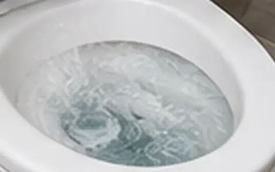 AI-generated visual example for emergency toilet overflow response: repair or replace: what to consider
