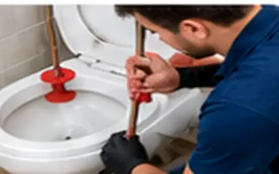 AI-generated visual example for flushing mechanism & handle repair: questions to ask before booking