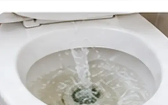 Flushing Mechanism & Handle Repair: Repair or replace: what to consider — illustrative photo 2 AI-generated visual example for flushing mechanism & handle repair: repair or replace: what to consider