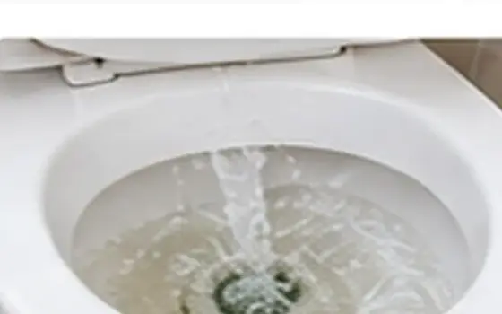 AI-generated visual example for toilet installation & replacement: questions to ask before booking