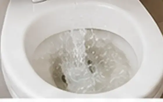 AI-generated visual example for wax ring replacement: questions to ask before booking