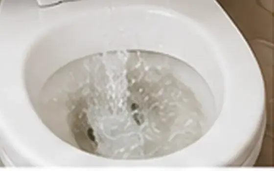 Toilet Repair in Garvey โ illustrative photo 2 AI-generated visual example for toilet repair in garvey