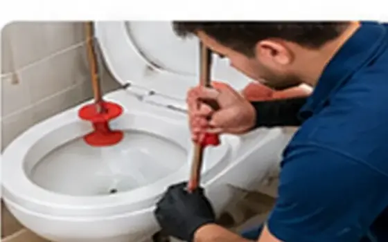 AI-generated visual example for toilet repair in south rosemead