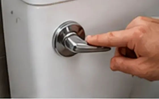 AI-generated visual example for toilet repair in south san gabriel