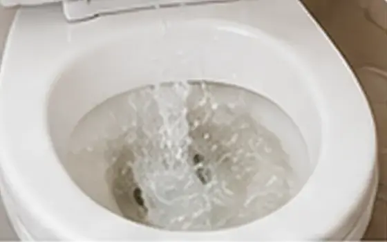 AI-generated visual example for toilet repair in temple city