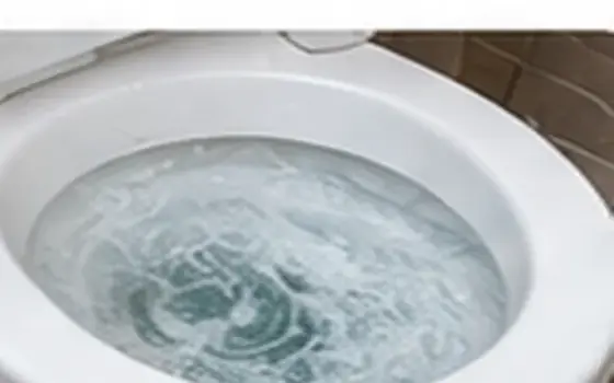 AI-generated visual example for toilet repair in walnut grove / valley