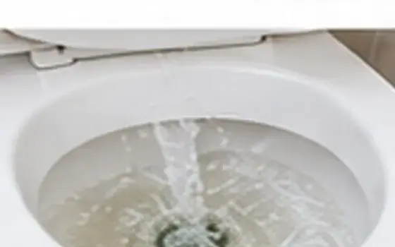Toilet Repair in Willard โ illustrative photo 1 AI-generated visual example for toilet repair in willard