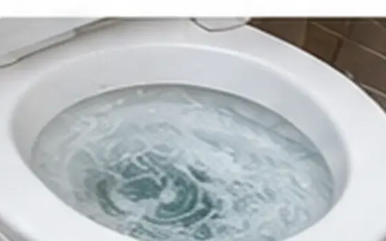 AI-generated visual example for gurgling toilet — toilet problem guide