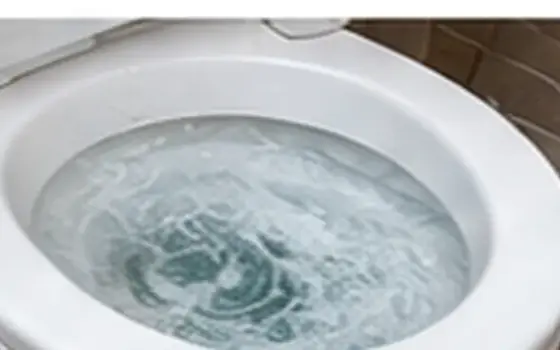 AI-generated visual example for gurgling toilet — toilet problem guide