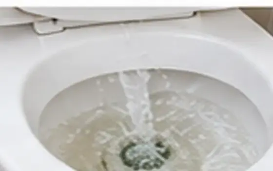 Loose handle โ Toilet Problem Guide โ illustrative photo 3 AI-generated visual example for loose handle โ toilet problem guide