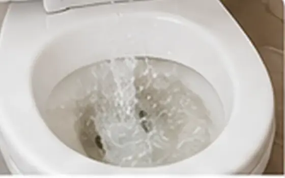 Main sewer line blockage โ Toilet Problem Guide โ illustrative photo 3 AI-generated visual example for main sewer line blockage โ toilet problem guide