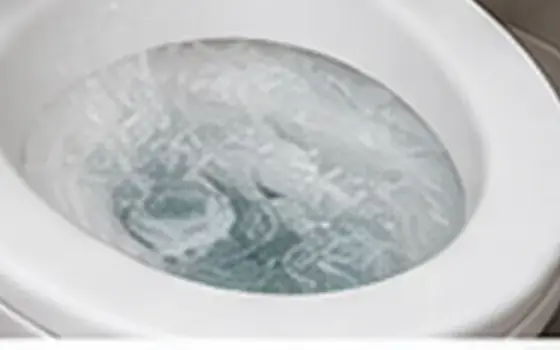 Main sewer line blockage โ Toilet Problem Guide โ illustrative photo 4 AI-generated visual example for main sewer line blockage โ toilet problem guide