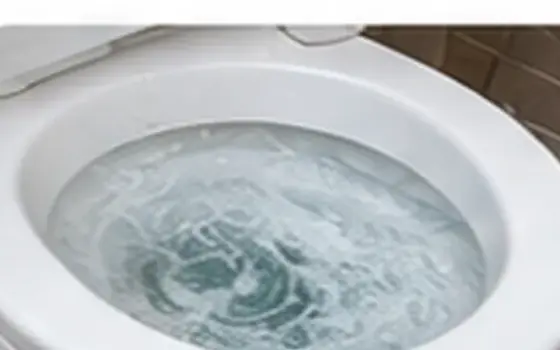 Main sewer line blockage โ Toilet Problem Guide โ illustrative photo 5 AI-generated visual example for main sewer line blockage โ toilet problem guide