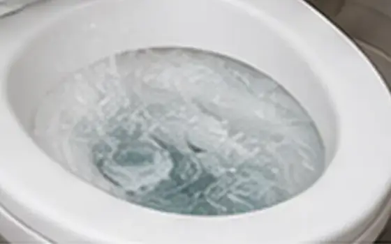 No flush โ Toilet Problem Guide โ illustrative photo 1 AI-generated visual example for no flush โ toilet problem guide