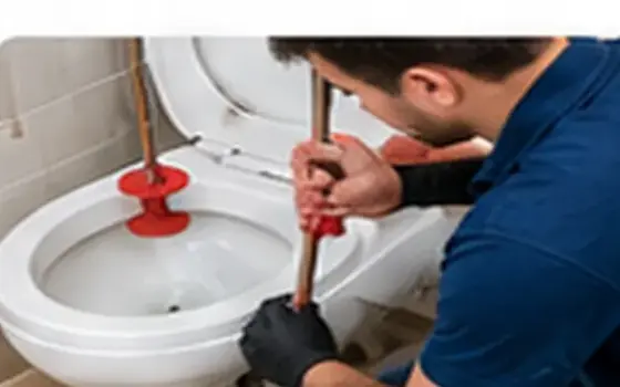 No flush โ Toilet Problem Guide โ illustrative photo 6 AI-generated visual example for no flush โ toilet problem guide