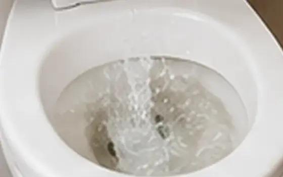 Simple clog โ Toilet Problem Guide โ illustrative photo 2 AI-generated visual example for simple clog โ toilet problem guide