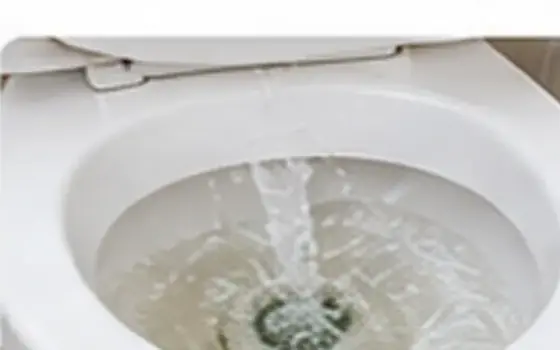 Simple clog โ Toilet Problem Guide โ illustrative photo 7 AI-generated visual example for simple clog โ toilet problem guide