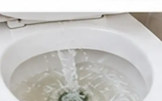 Stuck handle โ Toilet Problem Guide โ illustrative photo 4 AI-generated visual example for stuck handle โ toilet problem guide