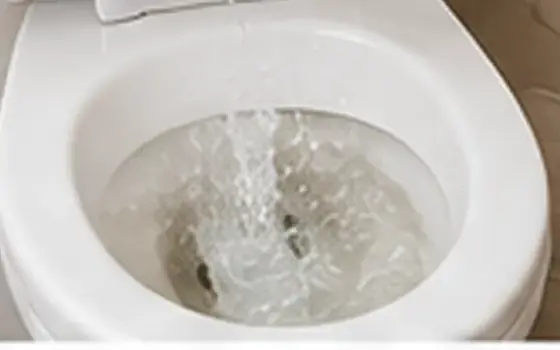 Supply line leak โ Toilet Problem Guide โ illustrative photo 6 AI-generated visual example for supply line leak โ toilet problem guide