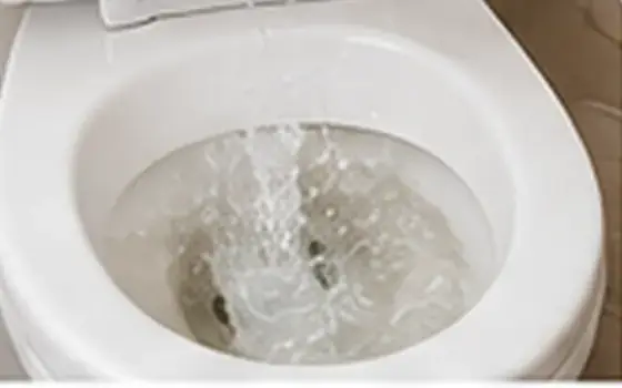 Supply line leak โ Toilet Problem Guide โ illustrative photo 7 AI-generated visual example for supply line leak โ toilet problem guide