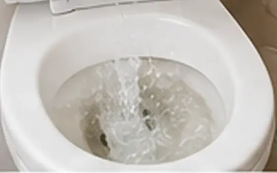 AI-generated visual example for clogged toilet repair in rosemead, ca