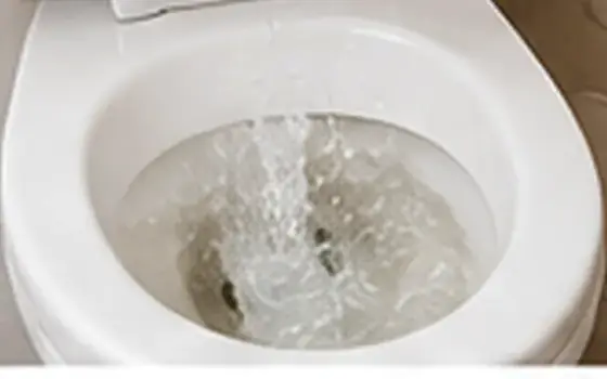 Emergency Toilet Overflow Response in Rosemead, CA โ illustrative photo 4 AI-generated visual example for emergency toilet overflow response in rosemead, ca