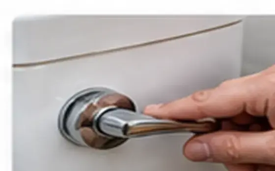 AI-generated visual example for flushing mechanism & handle repair in rosemead, ca