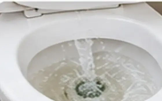 AI-generated visual example for flushing mechanism & handle repair in rosemead, ca