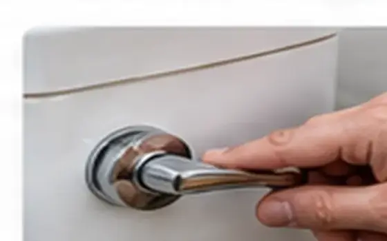 AI-generated visual example for flushing mechanism & handle repair in rosemead, ca