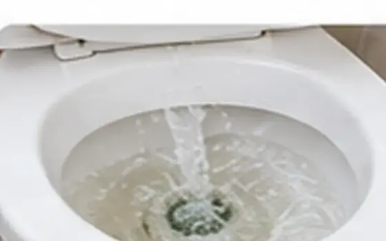 Low-Flush & Dual-Flush Upgrades in Rosemead, CA โ illustrative photo 5 AI-generated visual example for low-flush & dual-flush upgrades in rosemead, ca