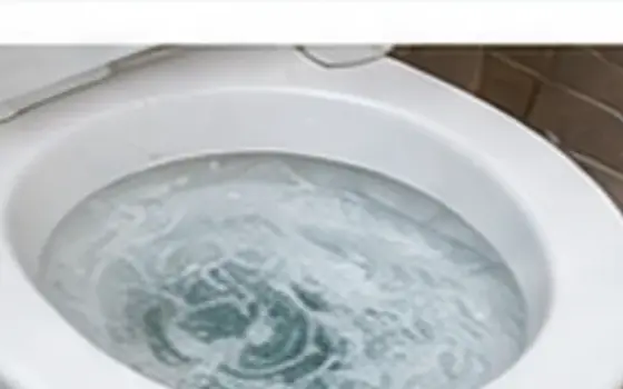 AI-generated visual example for toilet fill valve repair in rosemead, ca