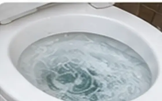 AI-generated visual example for toilet fill valve repair in rosemead, ca