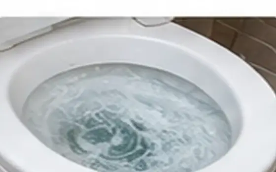 Toilet Leak Repair in Rosemead, CA โ illustrative photo 5 AI-generated visual example for toilet leak repair in rosemead, ca