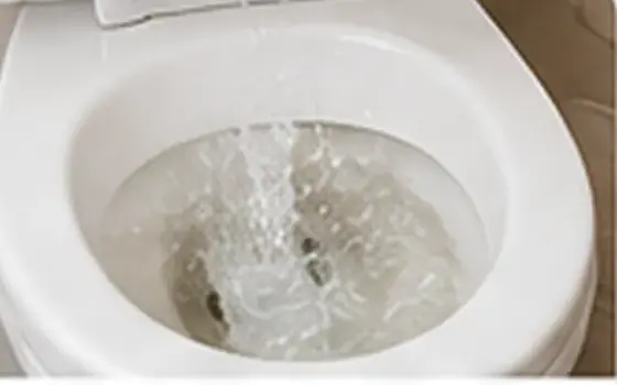 Toilet Leak Repair in Rosemead, CA โ illustrative photo 7 AI-generated visual example for toilet leak repair in rosemead, ca