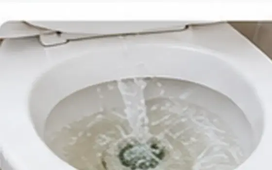 AI-generated visual example for toilet tank repair in rosemead, ca